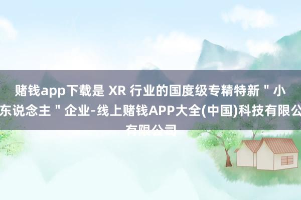 赌钱app下载是 XR 行业的国度级专精特新＂小巨东说念主＂企业-线上赌钱APP大全(中国)科技有限公司