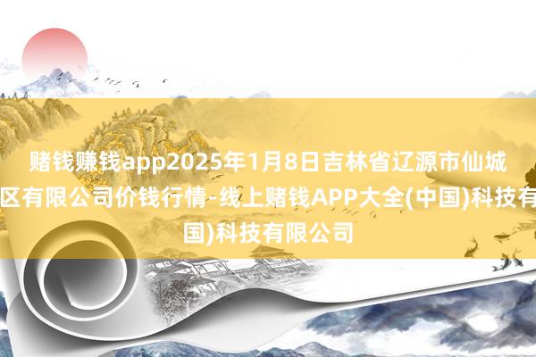 赌钱赚钱app2025年1月8日吉林省辽源市仙城物流园区有限
